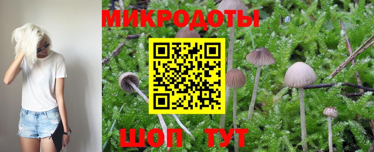 Галлюциногенные грибы Cubensis Костомукша