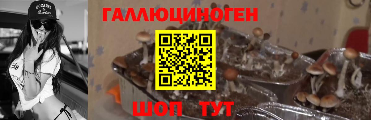 Галлюциногенные грибы ЛСД  Галлюциногенные грибы MAGIC MUSHROOMS  Вход с VPN  Костомукша 